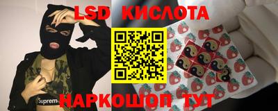 ПСИЛОЦИБИНОВЫЕ ГРИБЫ Пугачёв