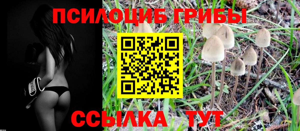 ГАШИШ  ГАШ  Alpha-PVP СОЛЬ кристаллы  Меф   Каннабис  MDMA  Вход с VPN  Россия  Cocaine  Купить наркотик 