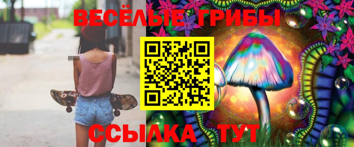 Псилоцибиновые грибы мицелий Россия